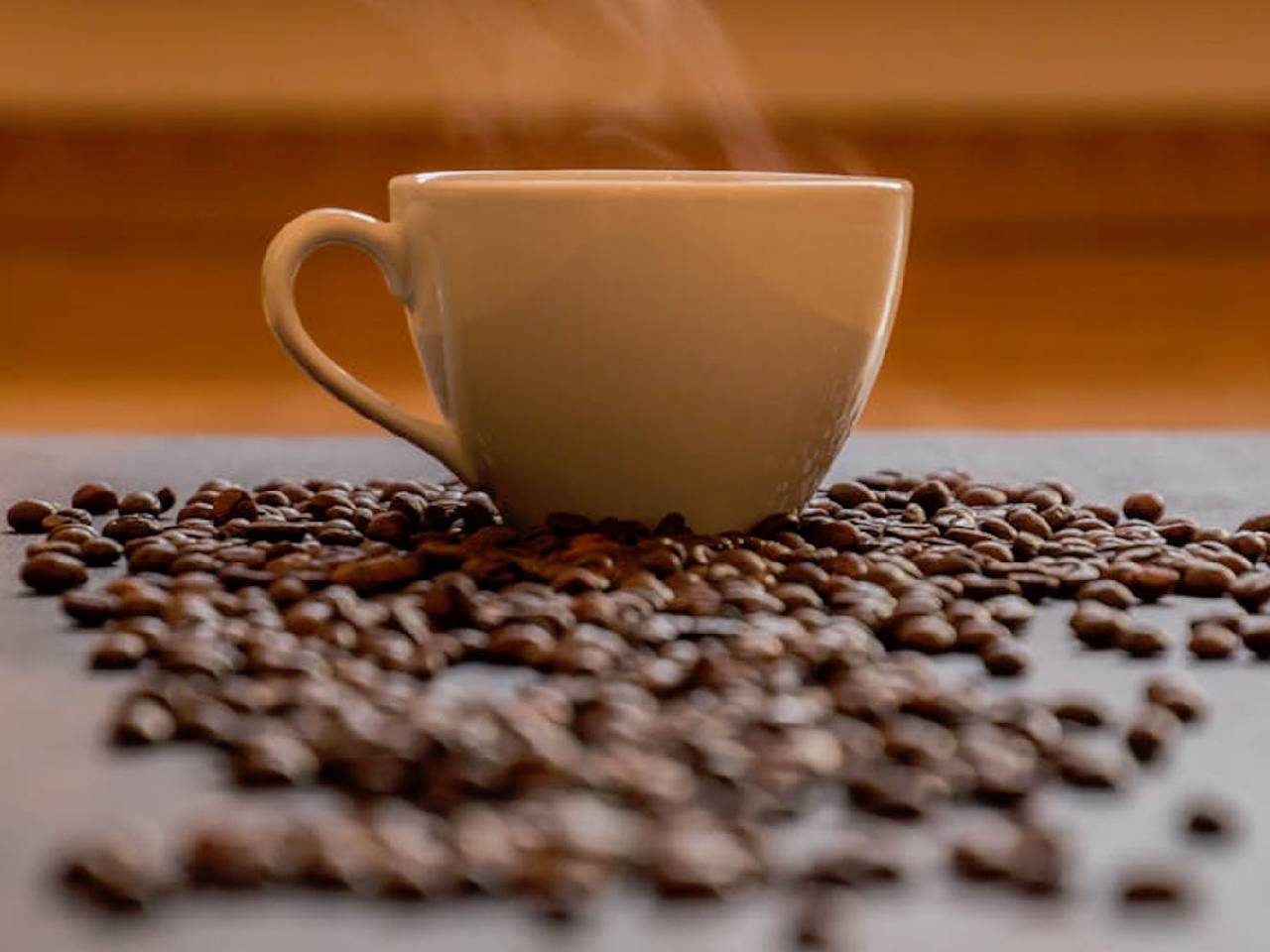 coffee cup surrounded by coffee beans